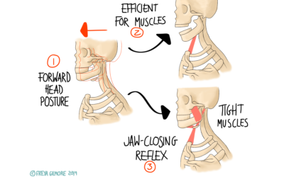 The Stomatognathic System
